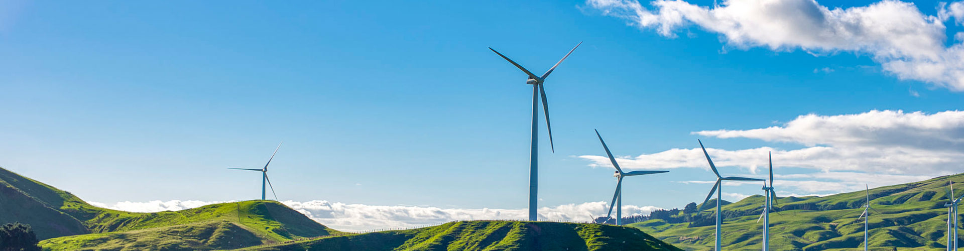 开云体育手机版下载教程